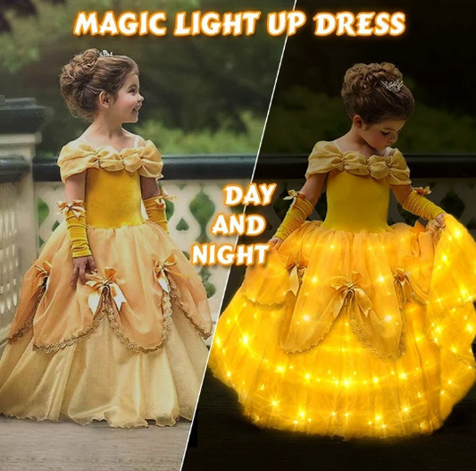 Elegant Light Up Belle Costume, Beauty and Beast Gown, LED Costume, Disney like