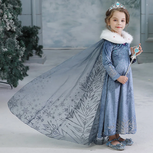 Elsa Winter Gown Costume, Snow Queen, Princess Costume, Disney Inspired