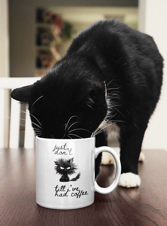 Crazy Cat Mug just don't till I had coffee 15oz Coffee mug, funny mug